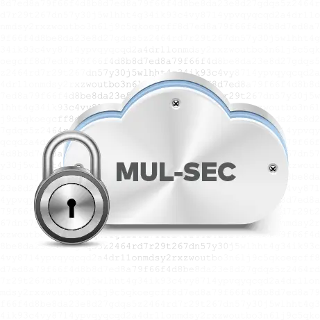 BioAffix ürün ailesi cihazları ve OneServer arasındaki iletişim MUL-SEC (Multi Layered Secure Communications) adı verilen çift katmanlı iletişim tüneli ile sağlanır. Bu sayede veri trafiği şifreli bir altyapı ile sağlanır.